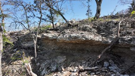 Residential Property for sale in Hamilton County, Texas