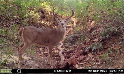 Recreational Property for sale in Brown County, Ohio