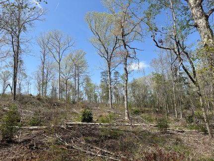 Recreational Property for sale in Monroe County, Alabama