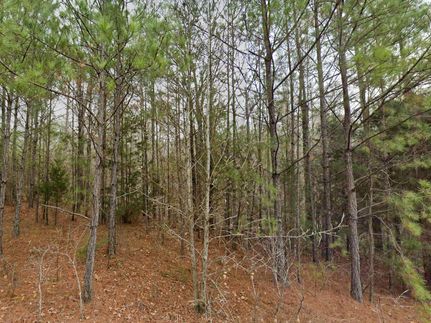Property in Tuscaloosa County, Alabama