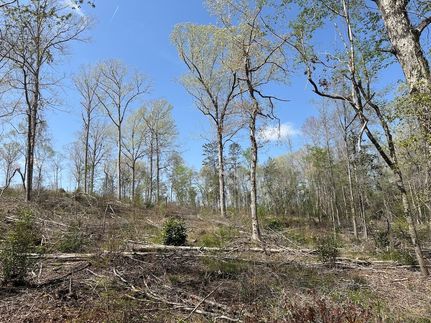 Property for sale in Monroe County, Alabama