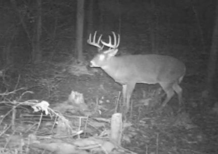 Property in Forest County, Wisconsin