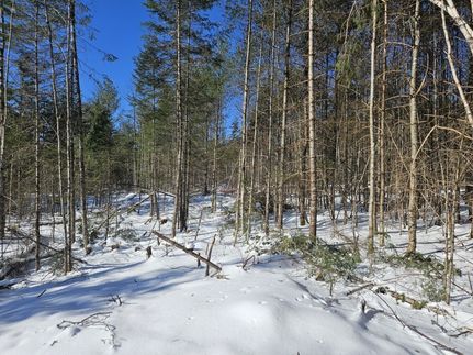 Property in Penobscot County, Maine