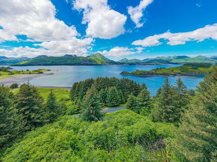 Undeveloped Land for sale in Kodiak Island Borough, Alaska