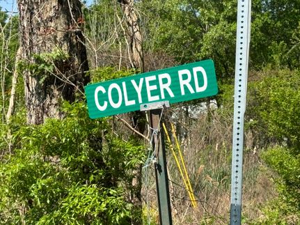 Property for sale in West Carroll Parish, Louisiana