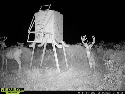 Hunting Land for sale in Barber County, Kansas