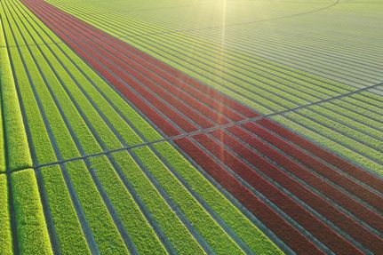 Commercial Property for sale in Zavala County, Texas