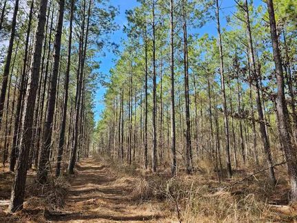 Recreational Property for sale in Columbia County, Arkansas