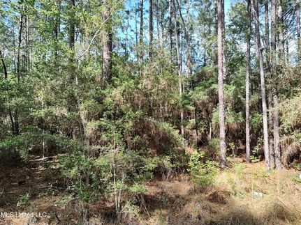 Property in Pearl River County, Mississippi