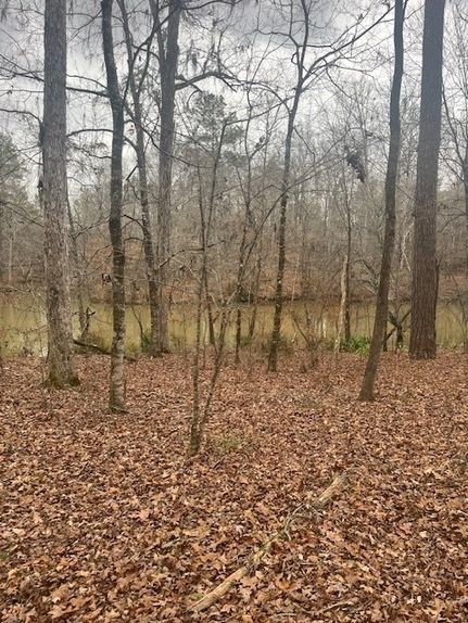 Residential Property for sale in Lowndes County, Alabama
