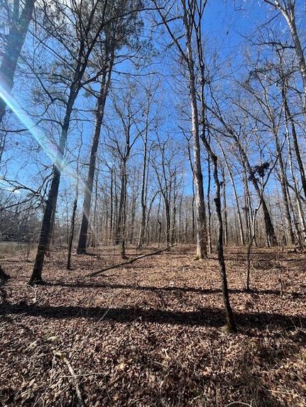 Property for sale in Lowndes County, Alabama