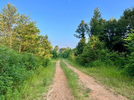 Property in Hale County, Alabama