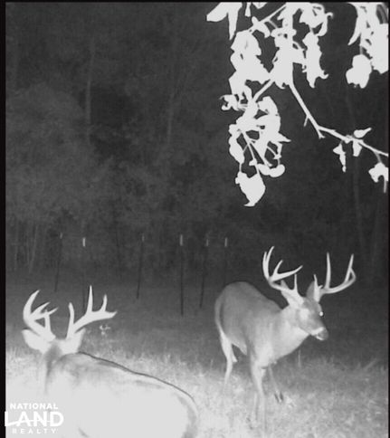 Property in Barbour County, Alabama