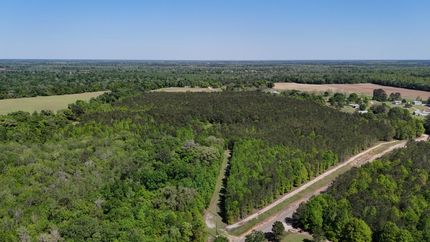 Hunting Land for sale in Houston County, Alabama