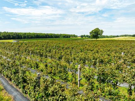 Property in Pulaski County, Arkansas