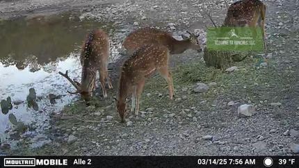 Property for sale in Crockett County, Texas