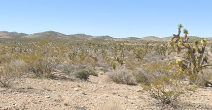 Property for sale in Mohave County, Arizona