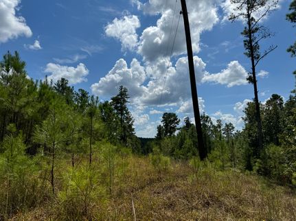 Undeveloped Land for sale in Fayette County, Alabama