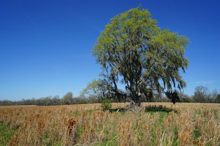 Lakefront Property for sale in Montgomery County, Alabama