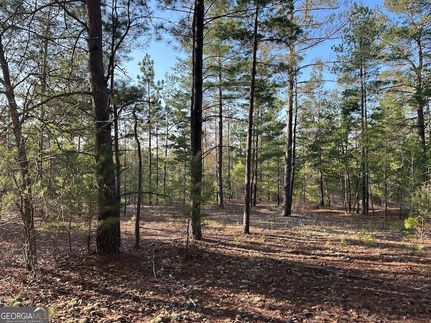 Property in Crawford County, Georgia