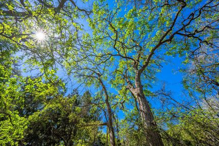 Property in Gillespie County, Texas