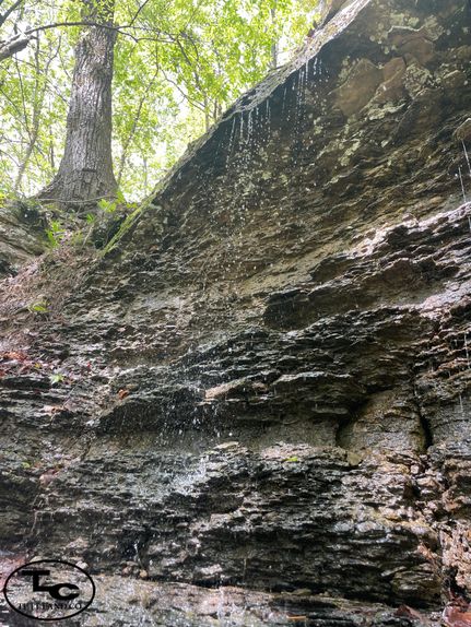 Property in Saint Clair County, Alabama