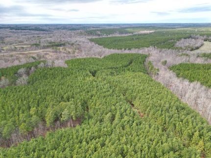 Property for sale in Charlotte County, Virginia