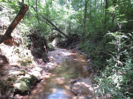 Property in Covington County, Mississippi