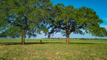 Ranch Property for sale in Wilson County, Texas