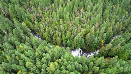 Property in Linn County, Oregon