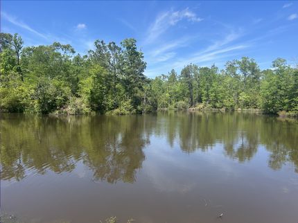 Property for sale in Tyler County, Texas