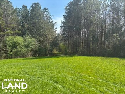 Property in Greene County, Alabama