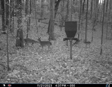 Property in Calhoun County, Alabama