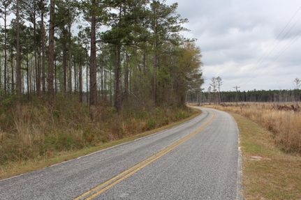Property for sale in Lee County, South Carolina