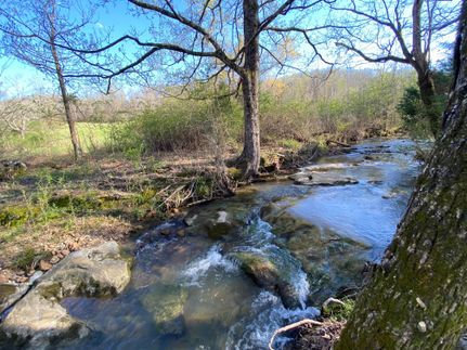 Horse Property for sale in Saint Clair County, Alabama