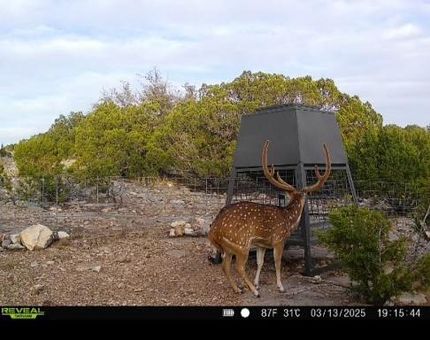 Property for sale in Edwards County, Texas