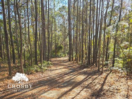 Property for sale in Bulloch County, Georgia