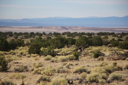 Property for sale in Apache County, Arizona