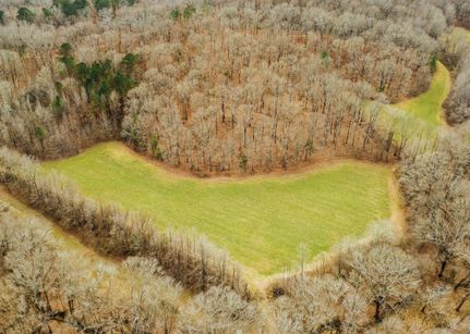 Property in Holmes County, Mississippi