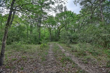 Undeveloped Land for sale in Burleson County, Texas