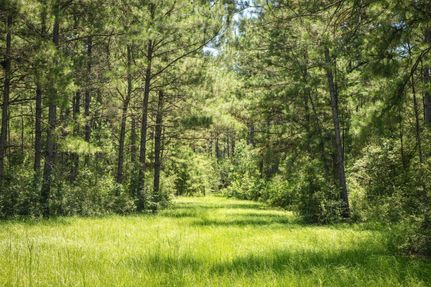 Property in Tyler County, Texas