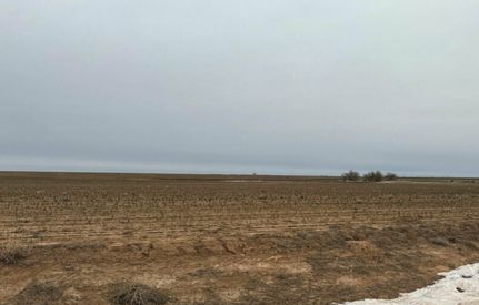 Commercial Property for sale in Castro County, Texas