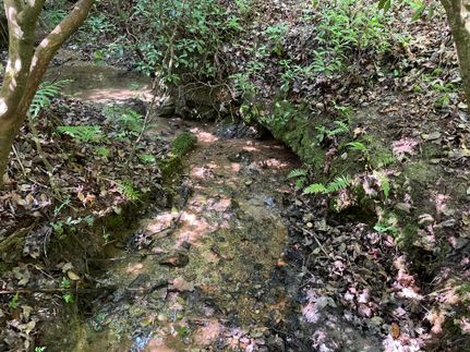 Property in Oconee County, South Carolina