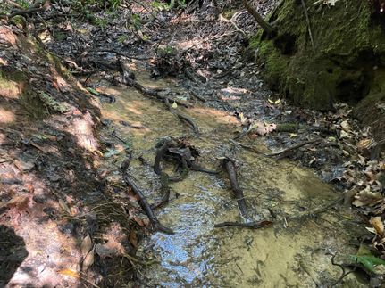 Property for sale in Oconee County, South Carolina