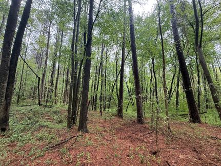 Property for sale in Franklin County, North Carolina