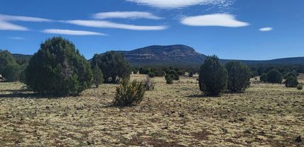 Hunting Land for sale in Coconino County, Arizona