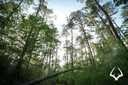 Property in Newton County, Texas