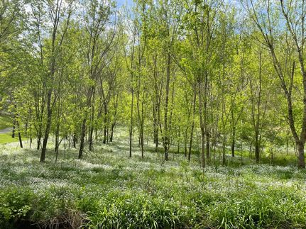 Property in Smith County, Tennessee