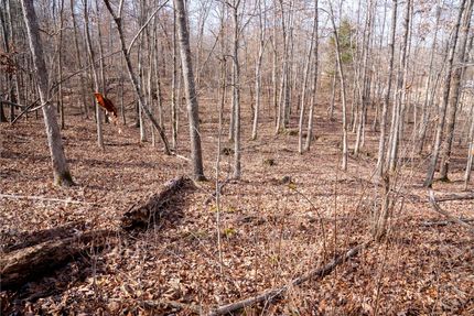 Property in Butler County, Missouri