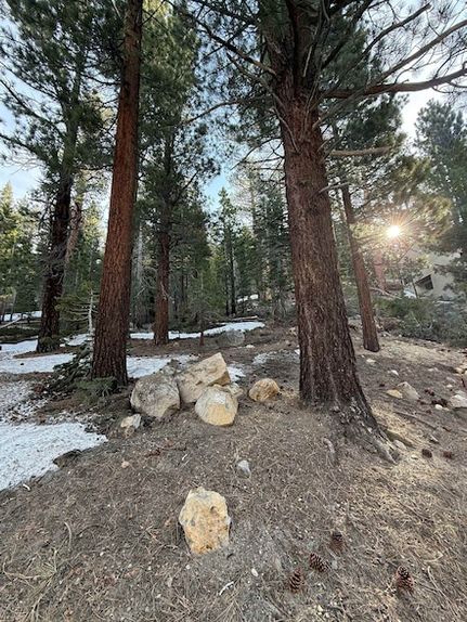 Property in Mono County, California